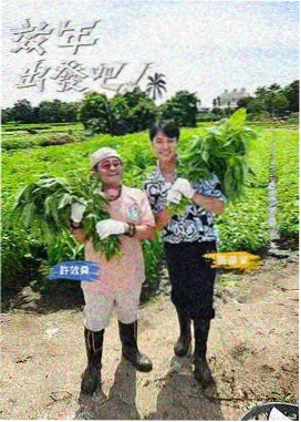 亚洲综艺节目 旅行日记